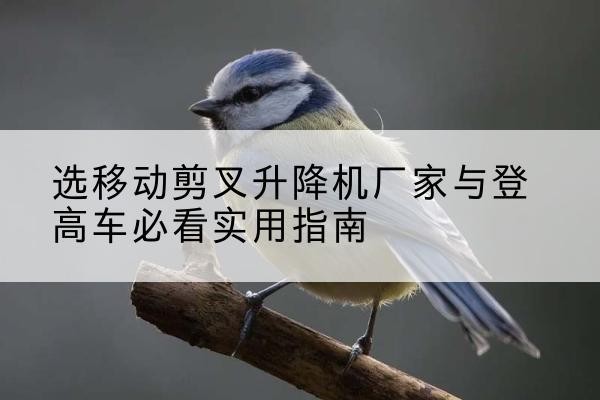 新田电动升降机厂家-选移动剪叉升降机厂家与登高车必看实用指南