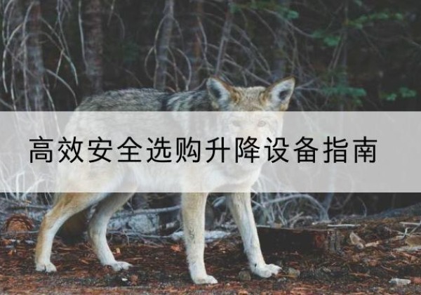 新田升降货梯厂家推荐-*安全选购升降设备指南